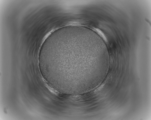 X0000096421435200802071652