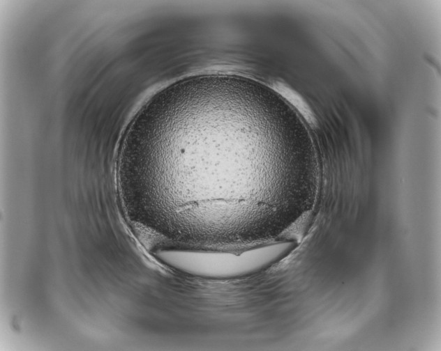 X0000096421436200802071652