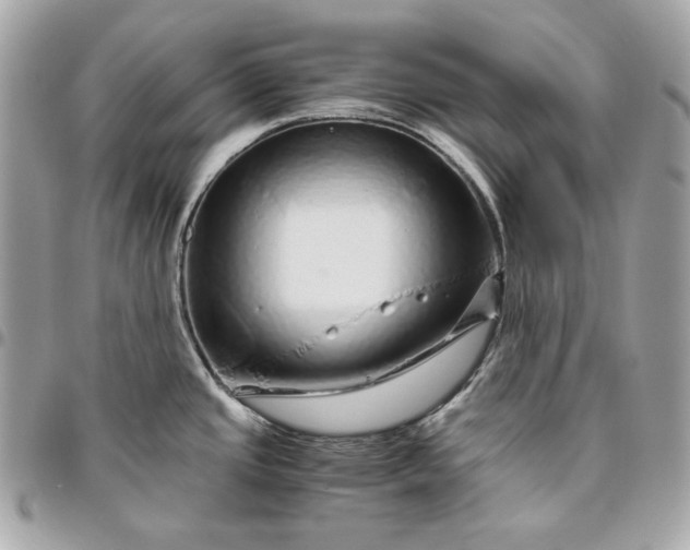 X0000096421437200802071653