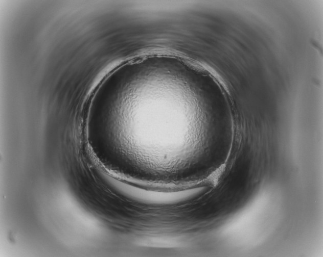 X0000096421438200802071653