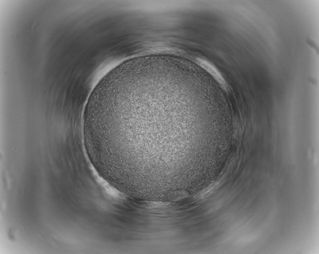 X0000096421439200802071653