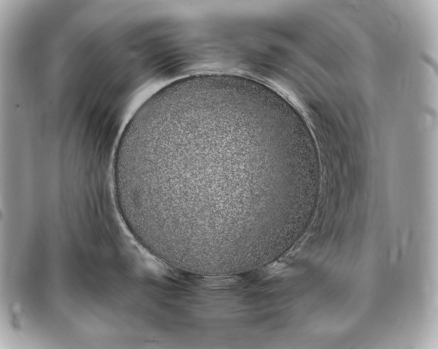 X0000096421440200802071653