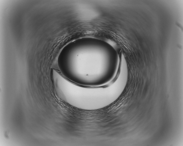 X0000096421441200802071652