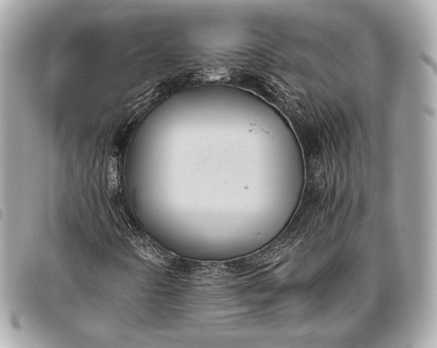 X0000096421442200802071652