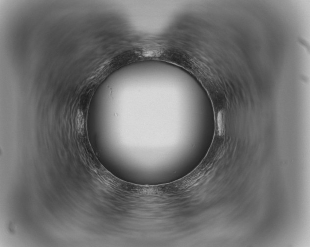 X0000096421443200802071652