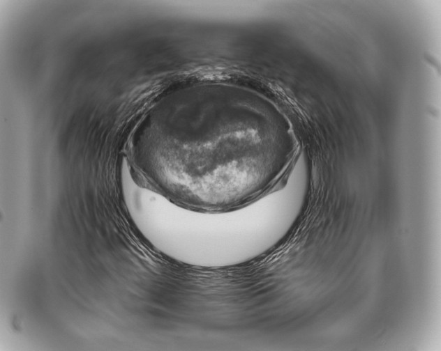 X0000096421444200802071652