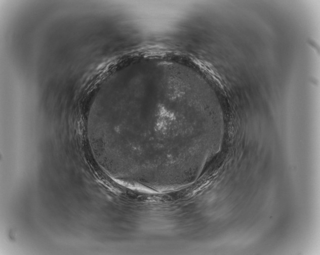 X0000096421445200802071652