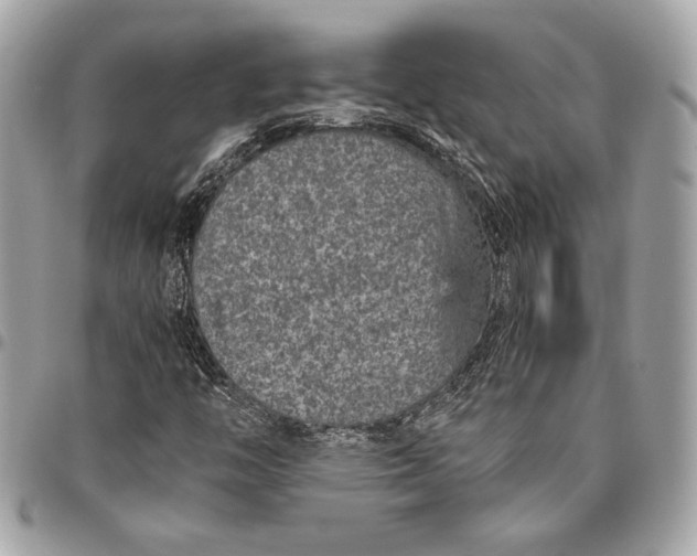 X0000096421446200802071652