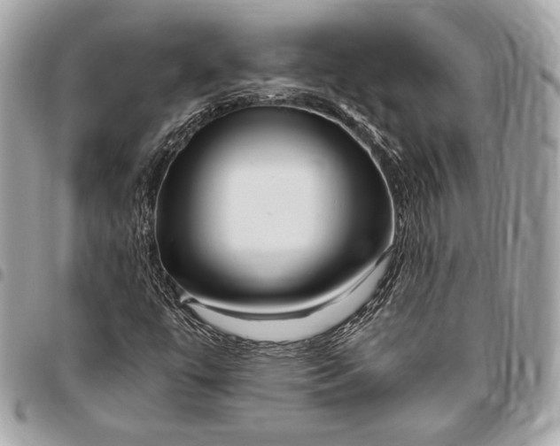 X0000096421447200802071652