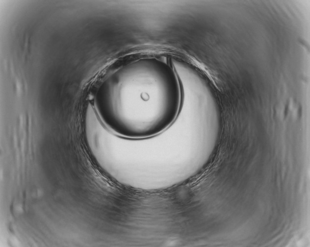 X0000096421448200802071652