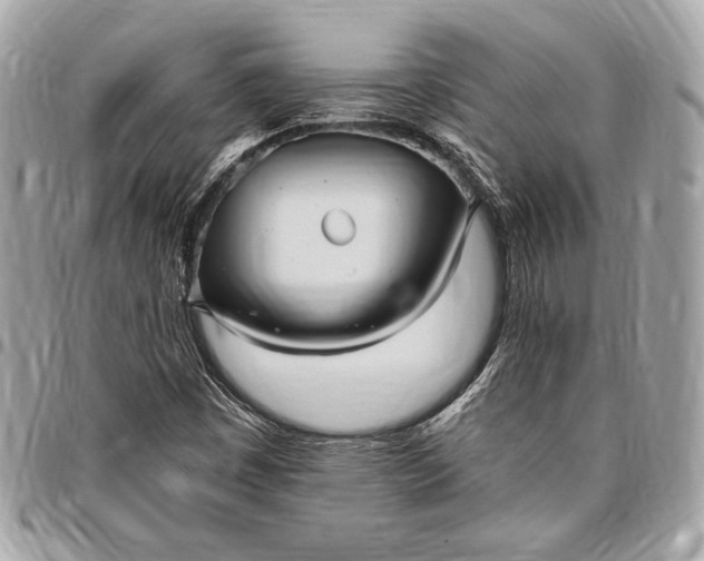 X0000096421449200802071652