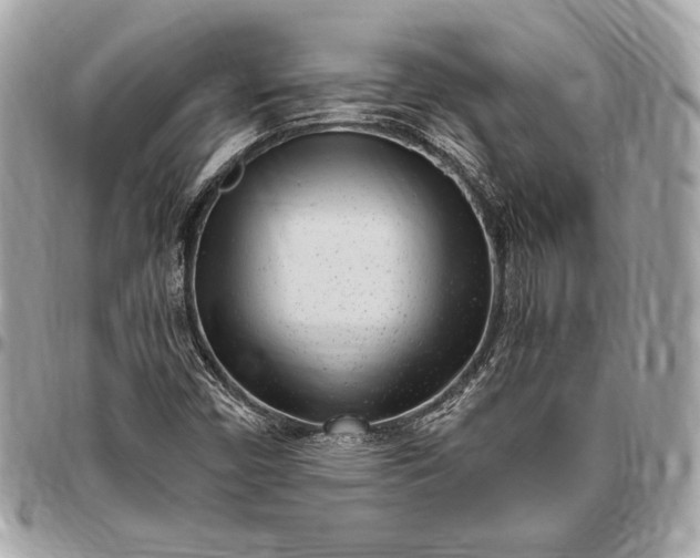 X0000096421450200802071652