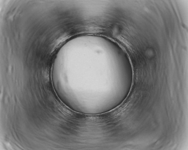 X0000096421451200802071652