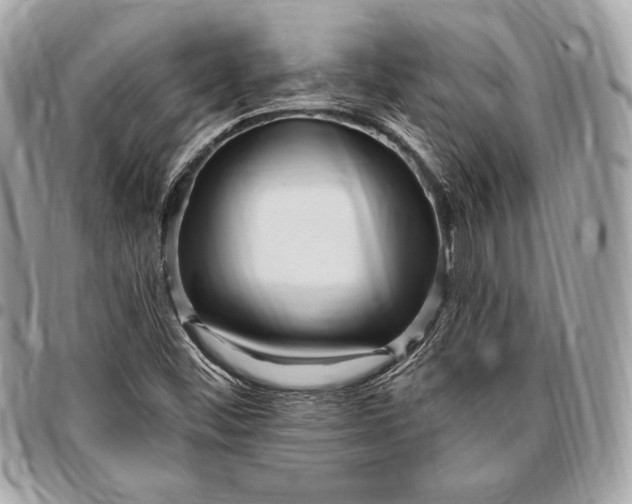 X0000096421452200802071652