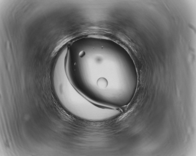 X0000096421453200802071652