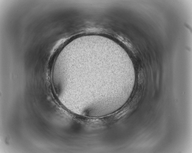 X0000096421454200802071652