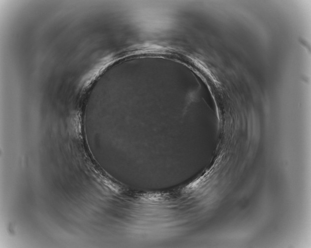 X0000096421455200802071652