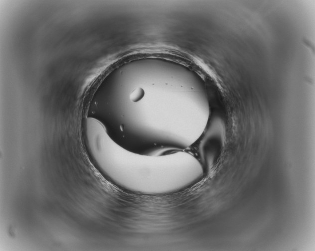 X0000096421456200802071652