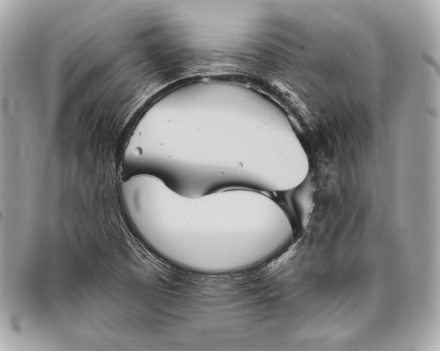 X0000096421457200802071652