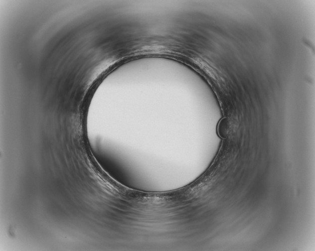 X0000096421458200802071651