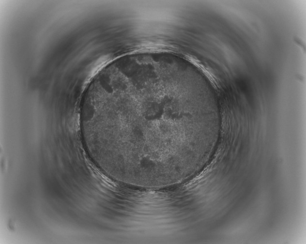 X0000096421459200802071651