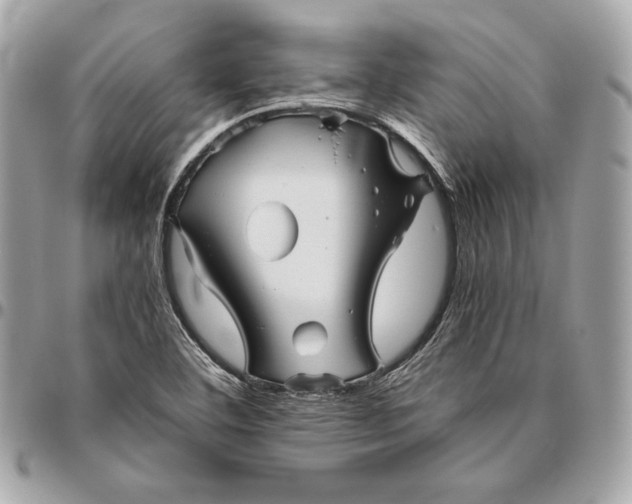 X0000096421460200802071651