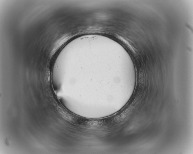 X0000096421461200802071651