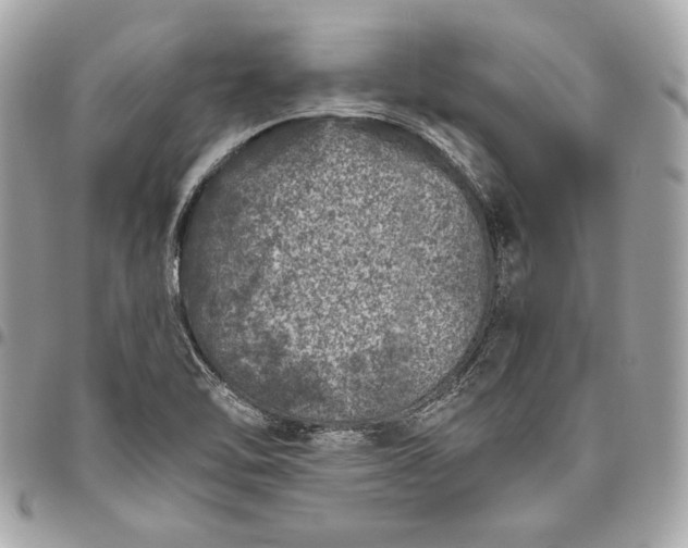 X0000096421462200802071651