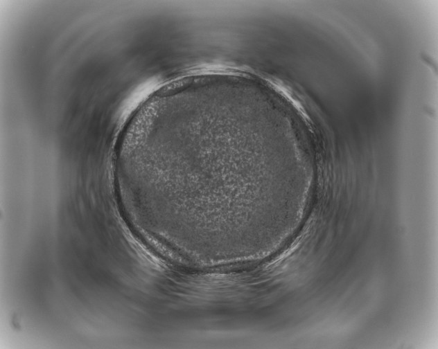 X0000096421463200802071651