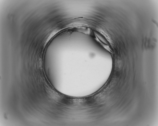 X0000096421465200802071651