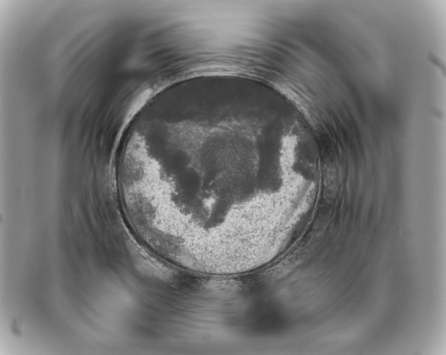 X0000096421466200802071651