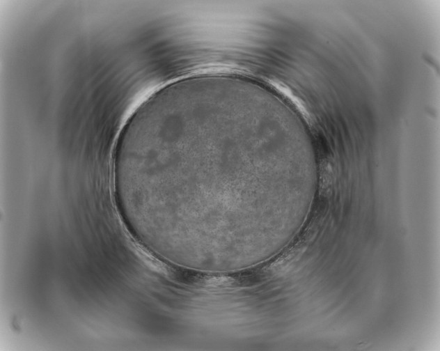 X0000096421467200802071651