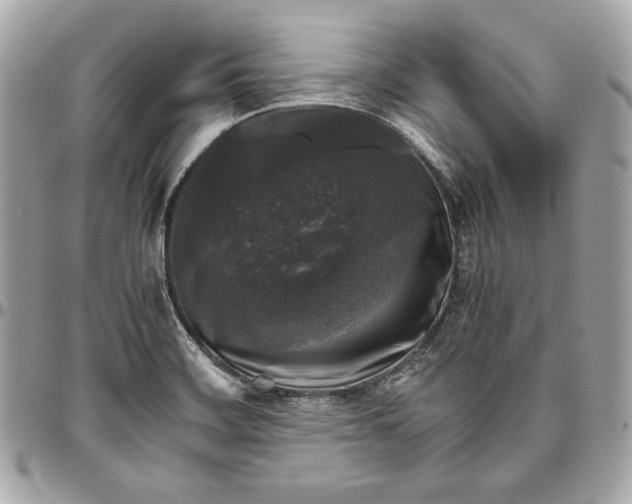 X0000096421468200802071651