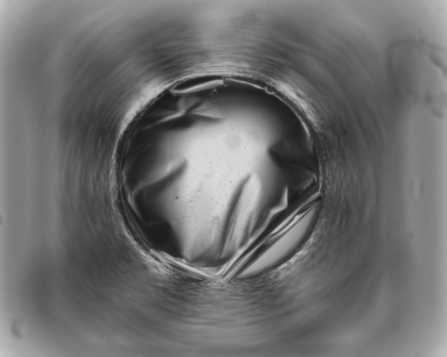 X0000096421469200802071651