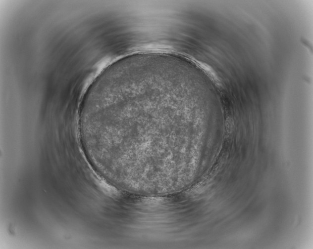 X0000096421470200802071651