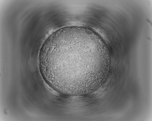 X0000096421471200802071651