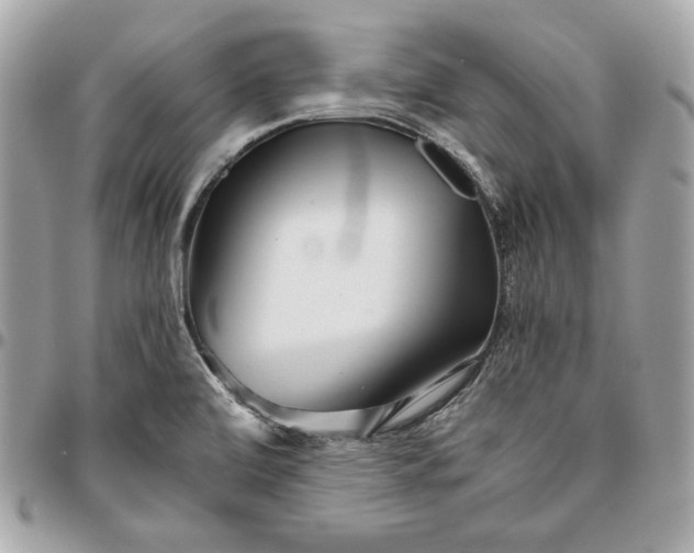 X0000096421472200802071651