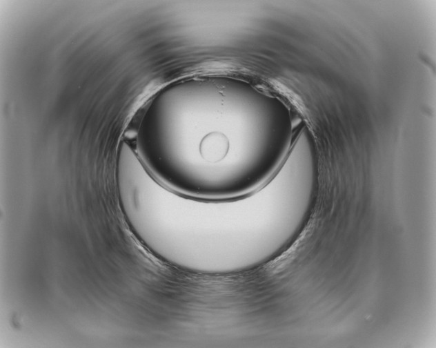 X0000096421473200802071651