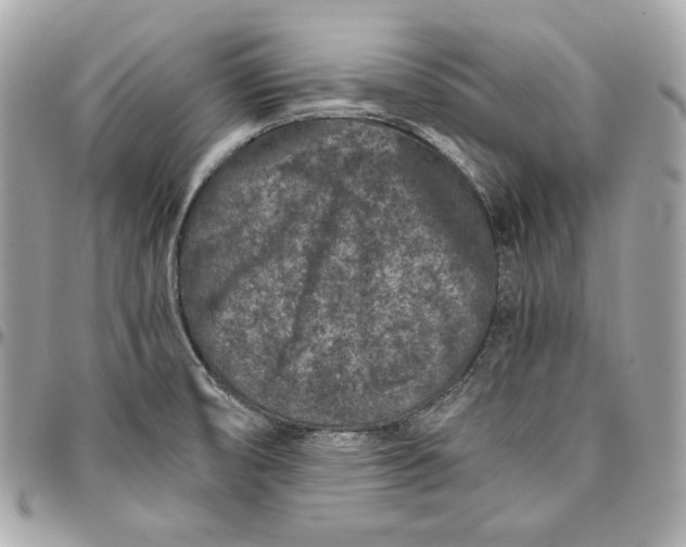 X0000096421474200802071651