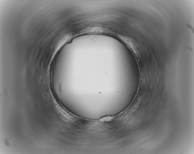 X0000096421475200802071651