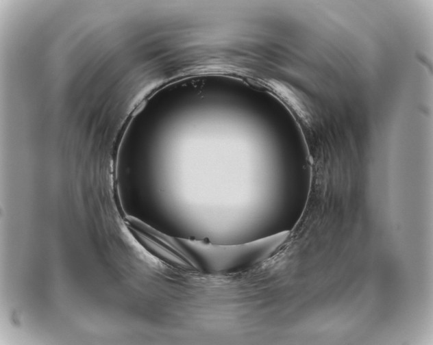 X0000096421476200802071651