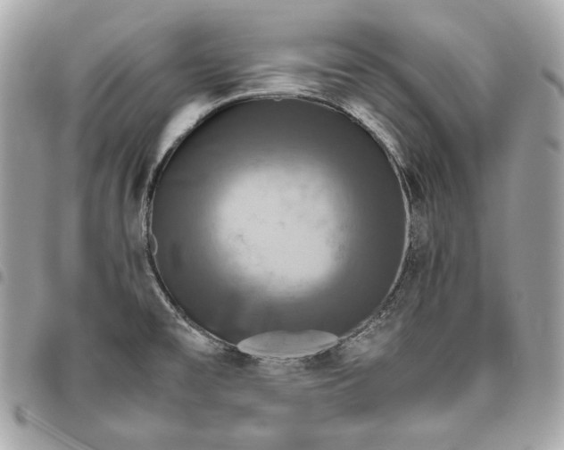 X0000096421477200802071651