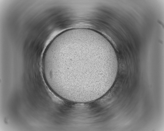 X0000096421478200802071651