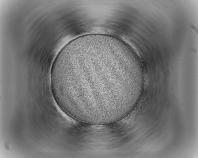 X0000096421479200802071651