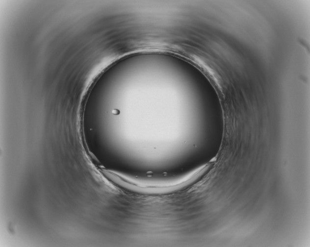 X0000096421480200802071651