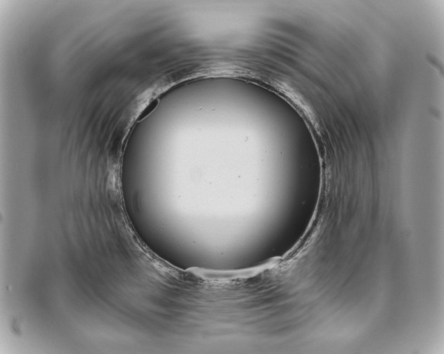 X0000096421481200802071651