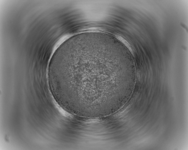 X0000096421482200802071651