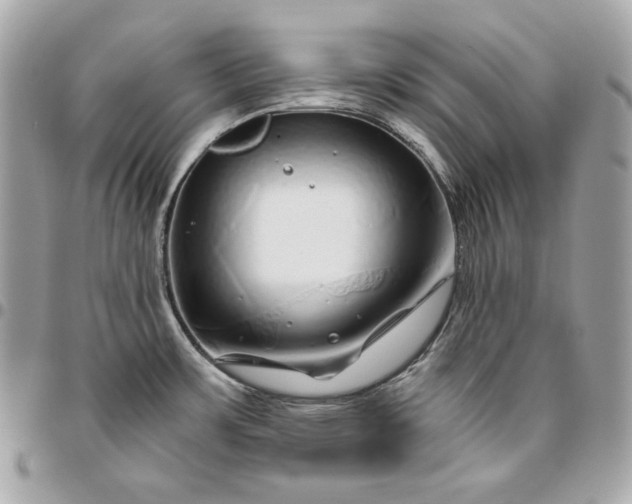 X0000096421483200802071651