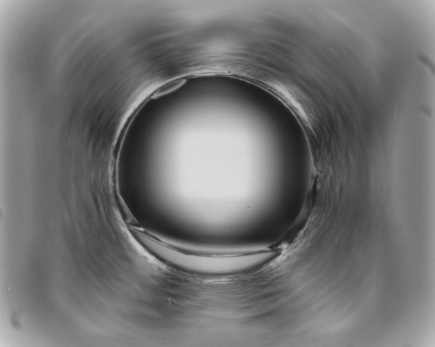 X0000096421484200802071651