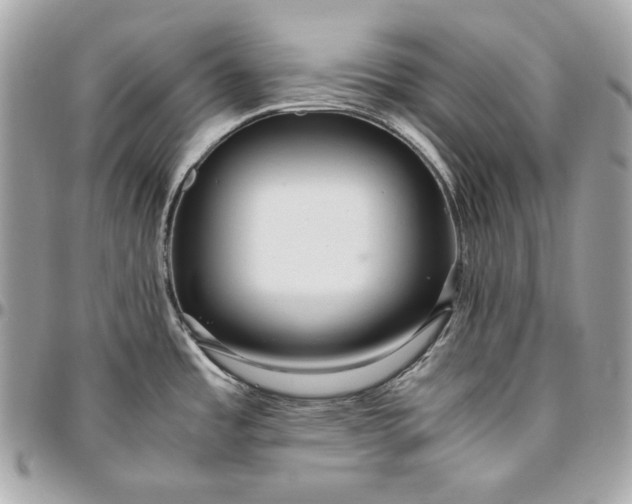 X0000096421485200802071651